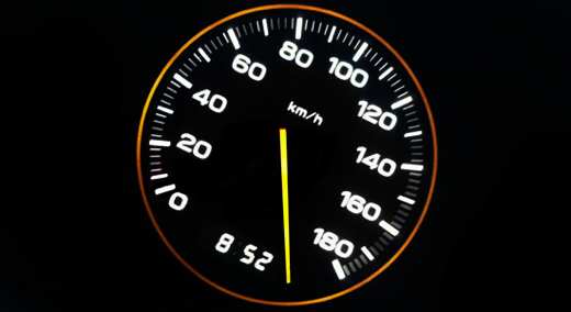 Speedo