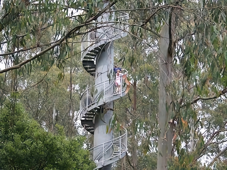 Australia 2007