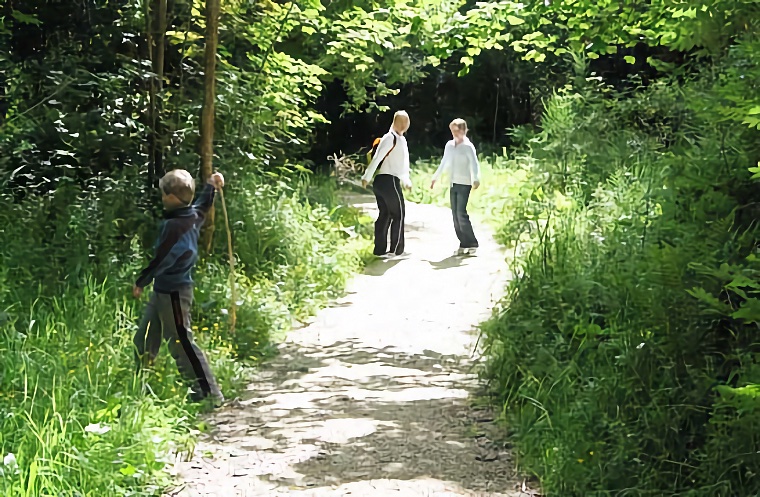Walking in Bush