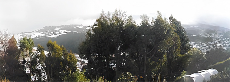 Dunedin Snow 2003