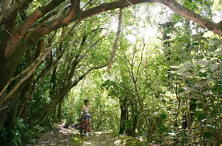 Biking in the Bush