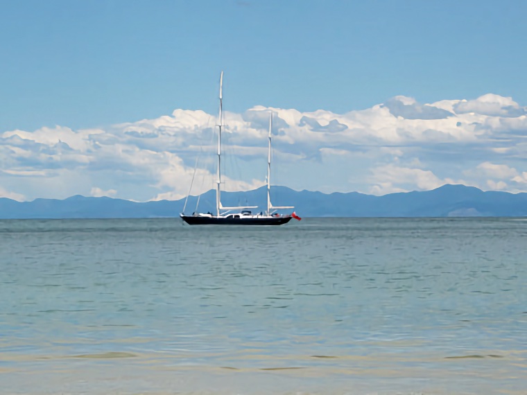 Nelson 2005