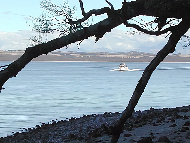 Te Anau 2003