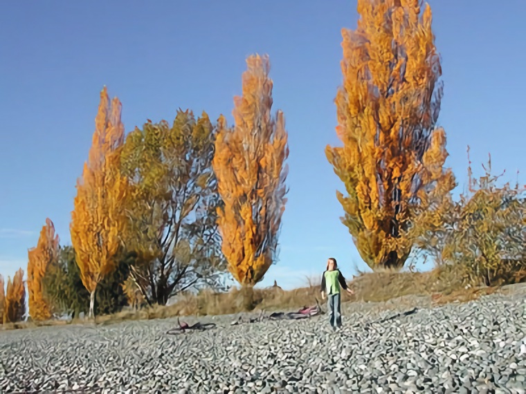 Te Anau 2003