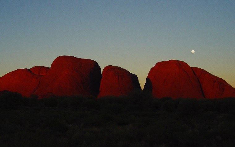Olgas
