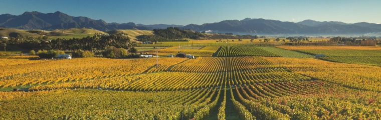 Vineyards